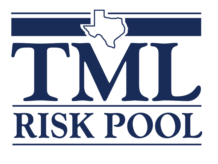 Risk Pool logo blue